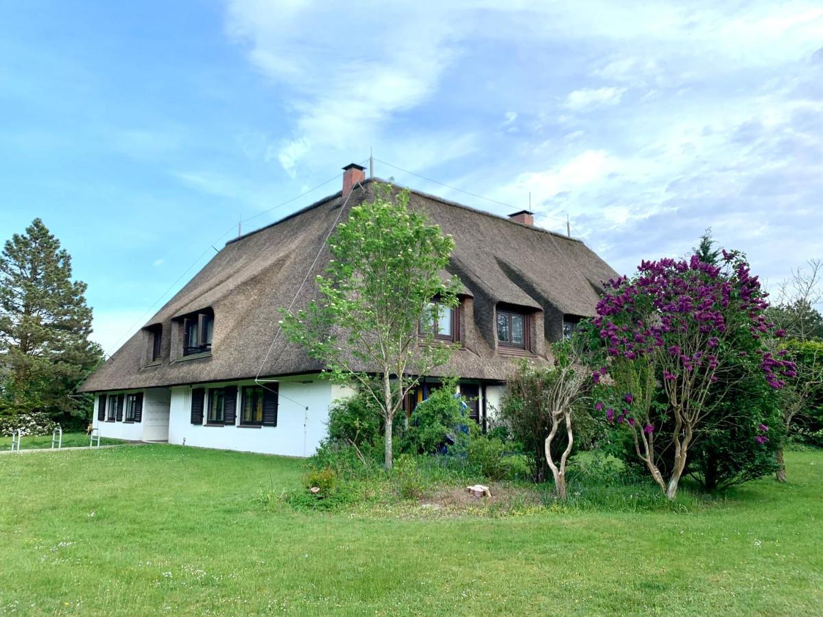 Ferienwohnung "Strandschnecke" Im Haus Hallig Oland Санкт-Петер-Ординг Экстерьер фото